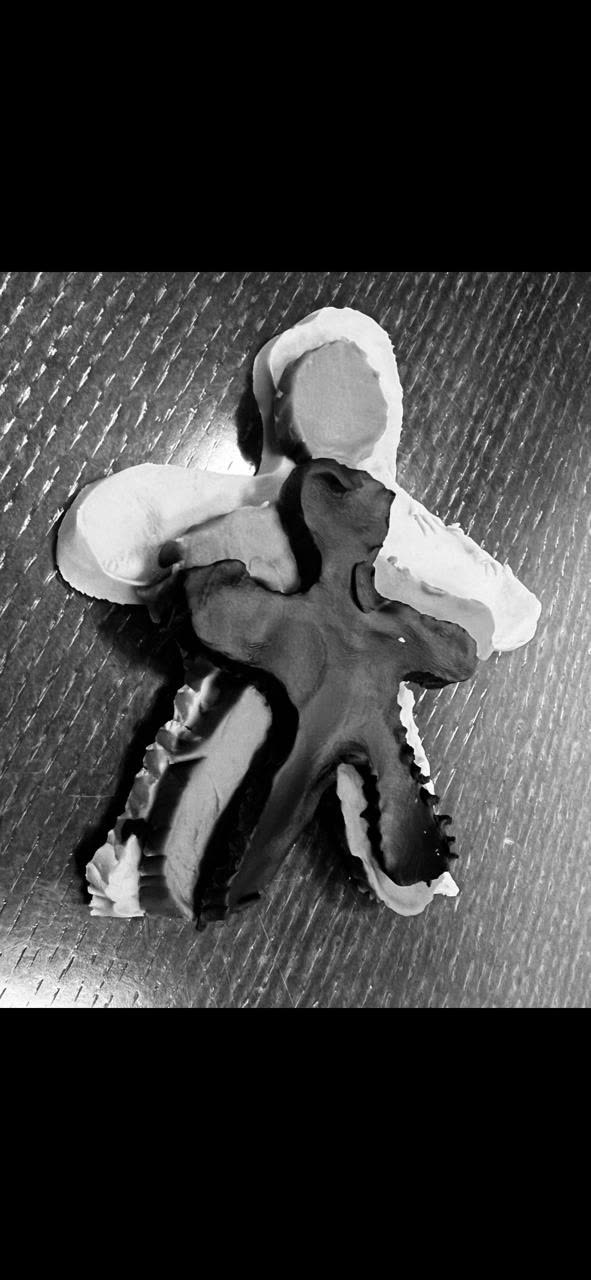 Figura en blanco y negro