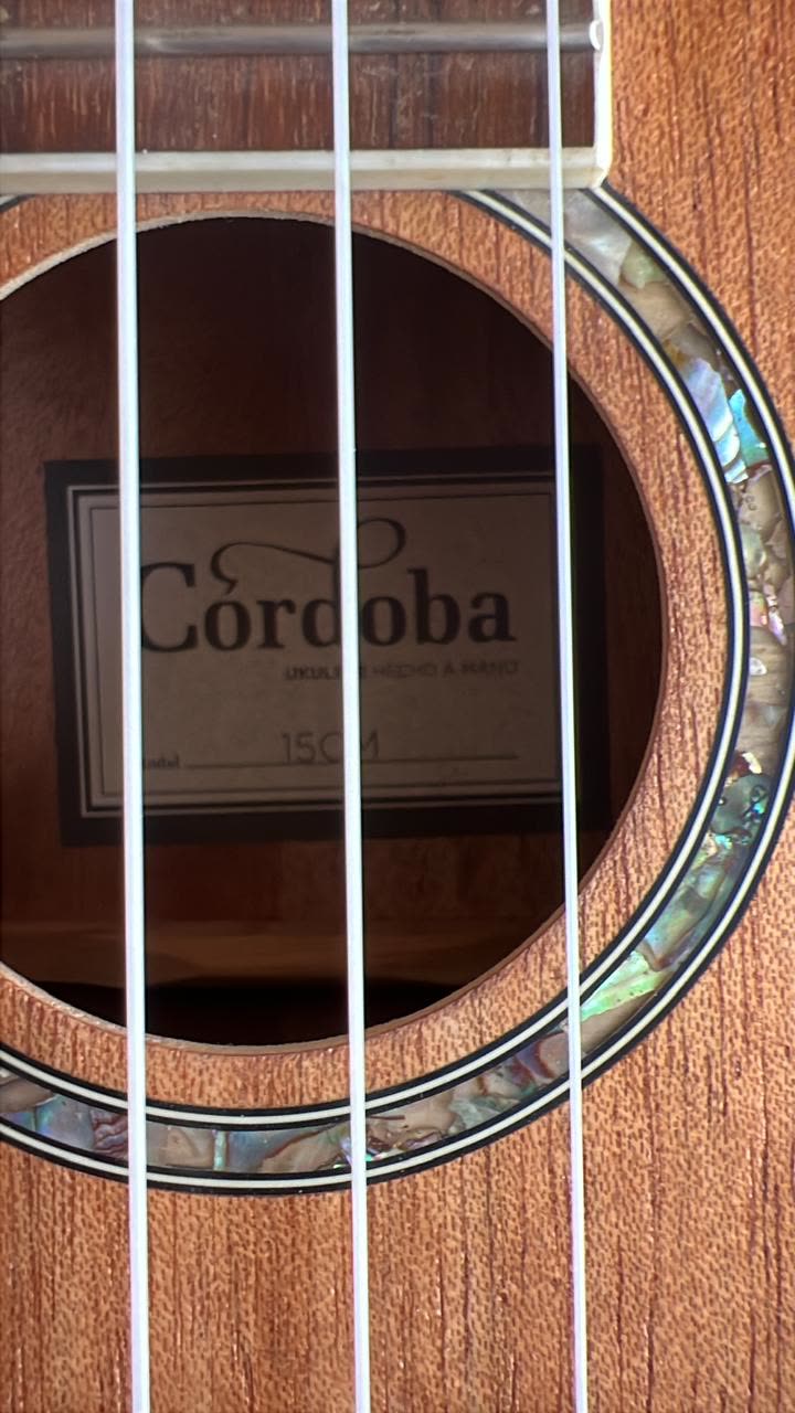 Guitarra en pausa